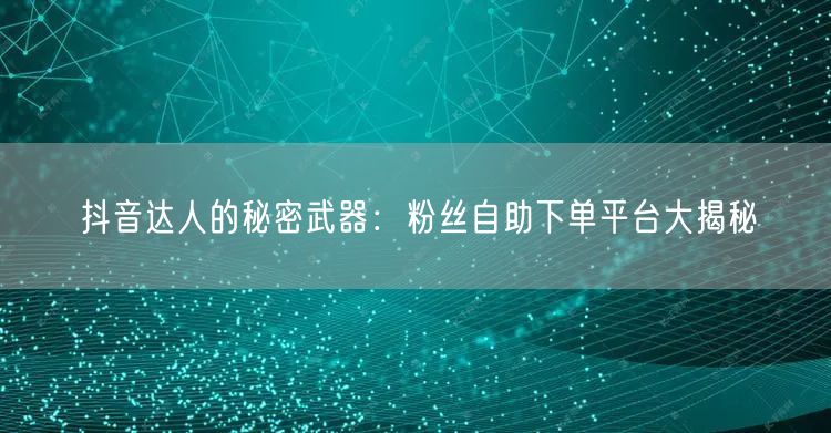 抖音达人的秘密武器：粉丝自助下单平台大揭秘