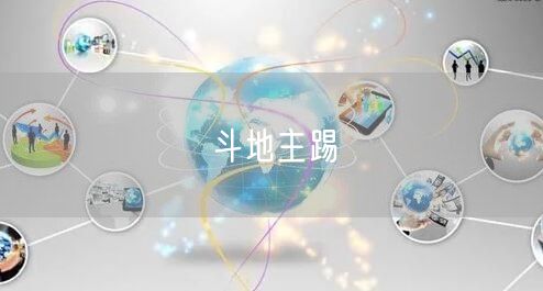 斗地主踢