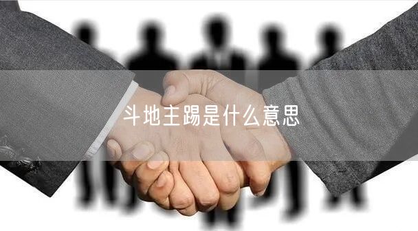 斗地主踢是什么意思
